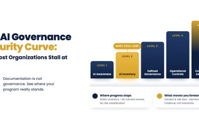 The AI Governance Maturity Curve: Why Most Organizations Stall at Level 2